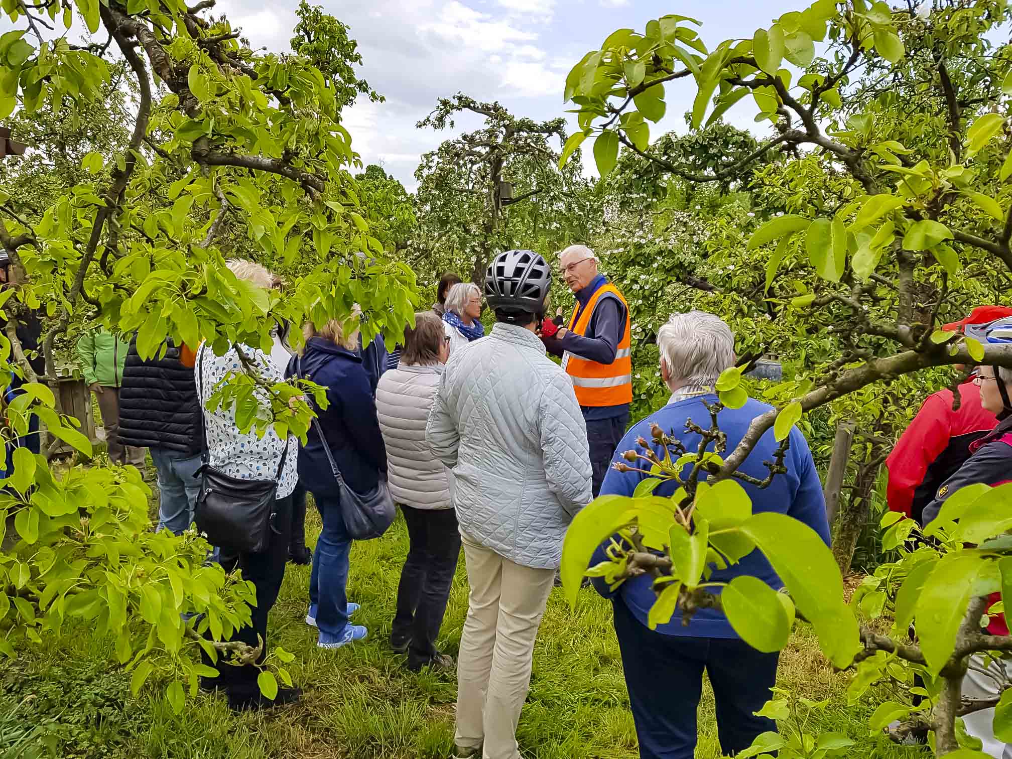 Lippstadt: Radtour zu Streuobstwiesen