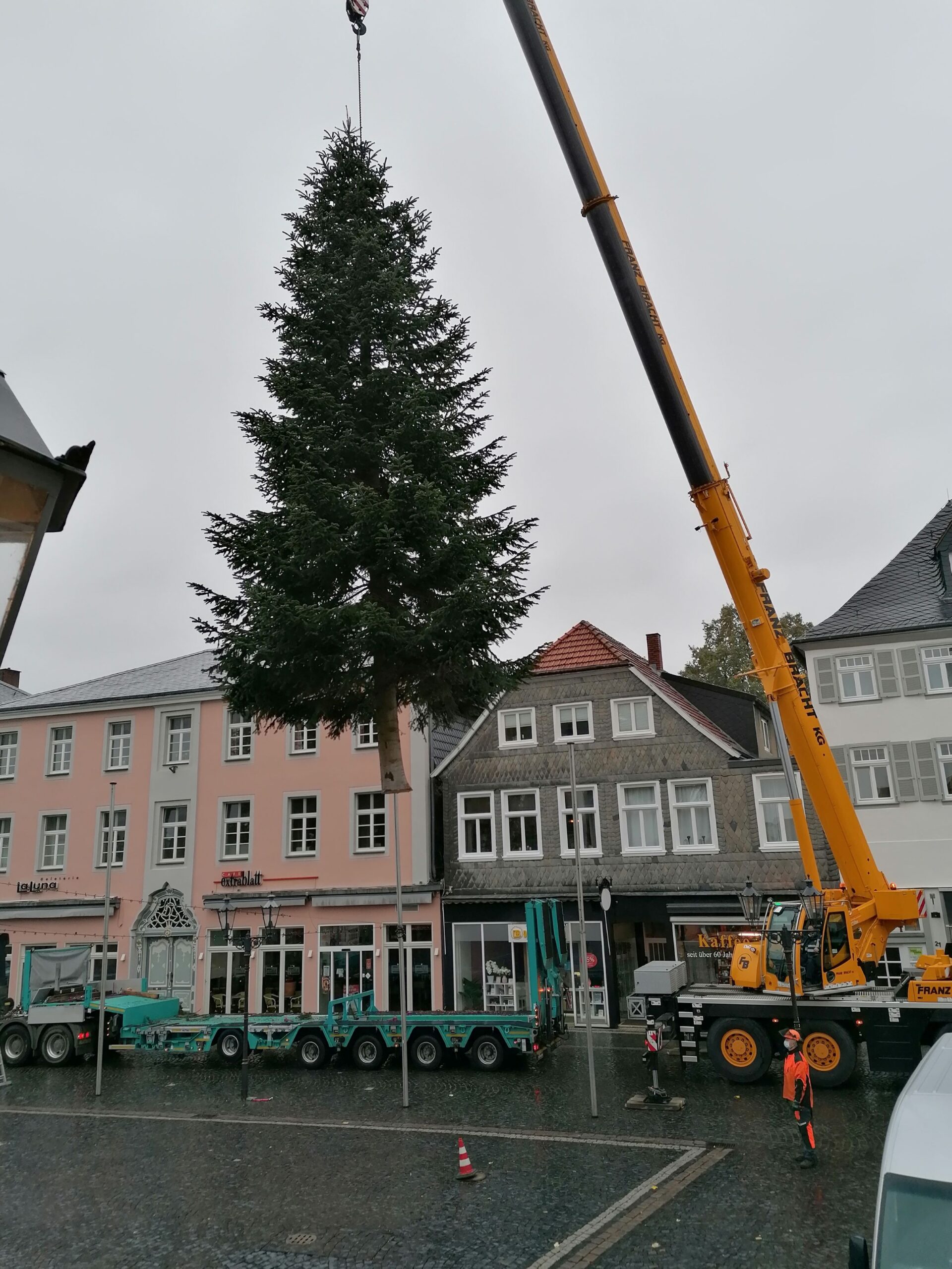 Lippstadt: Große Tanne gesucht!