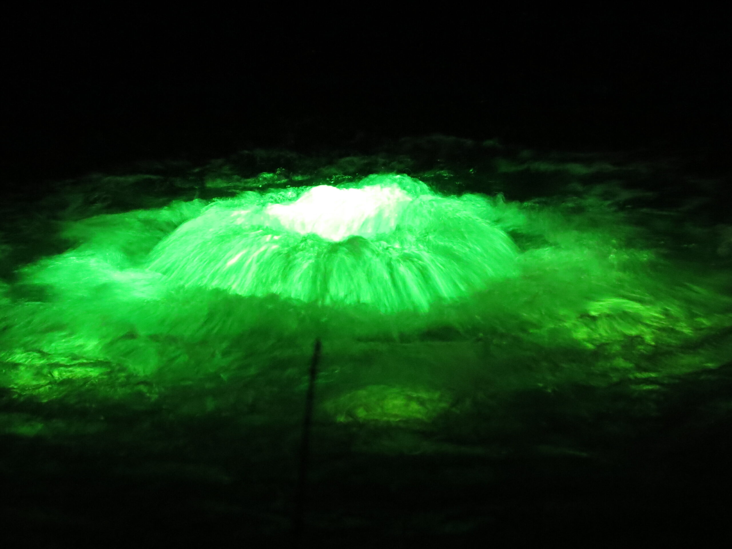 Entlang der Lichtpromenade Lippstadt